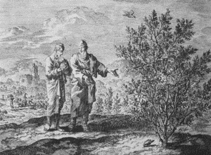 300px-Teachings_of_Jesus_5_of_40._parable_of_the_mustard_seed._Jan_Luyken_etching._Bowyer_Bible
