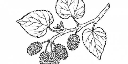 Screenshot 2025-10-04 182759