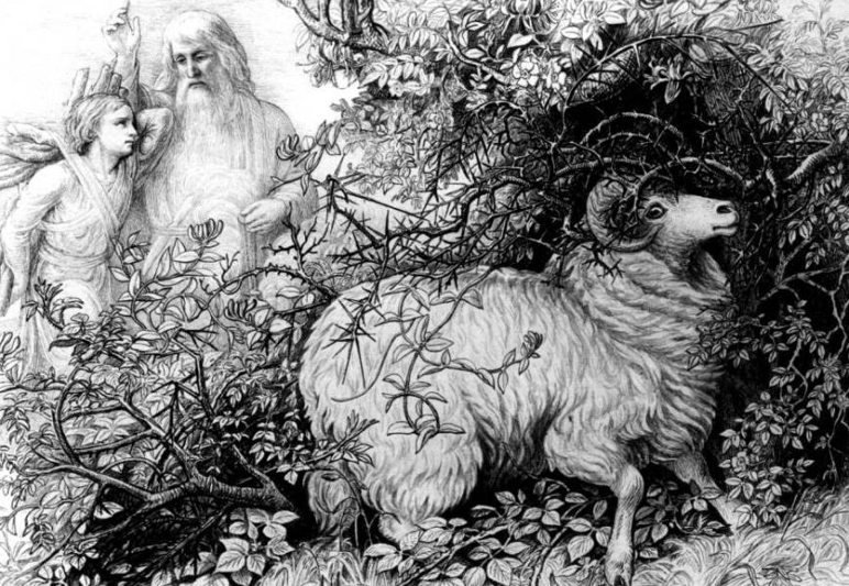 Le 5e dimanche après la Pentecôte | Pentecost V