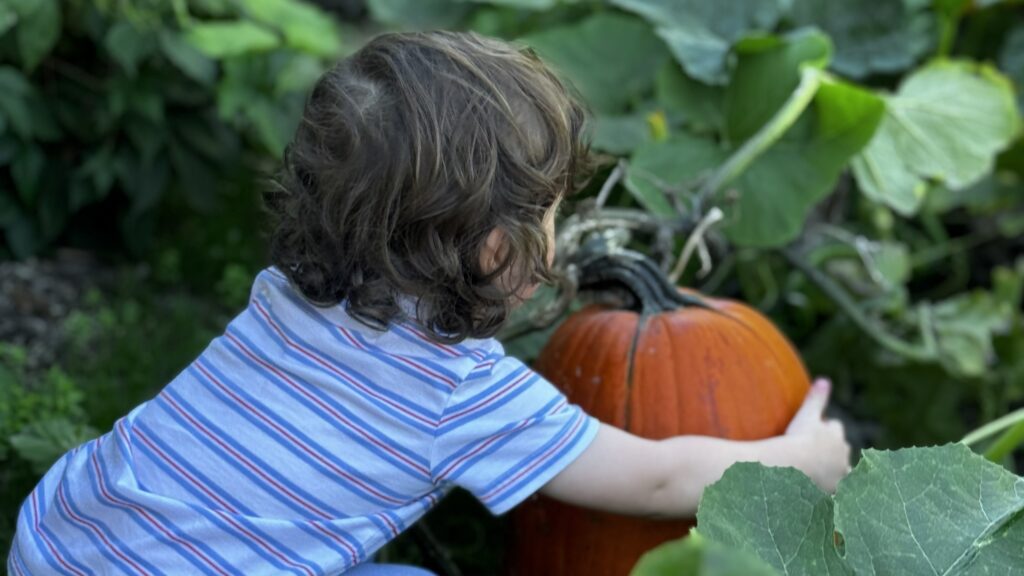 Une moisson des nations : célébrons nos cultures - le 18 oct. | A Harvest of Nations: Celebrating our Many Cultures - Oct. 18